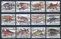 [Fish, type KX]
