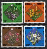 [Tropical Flowers, tip FH]