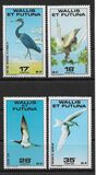 [Ocean Birds, tip FL]