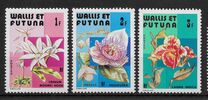 [Flowers, tyyppi JC]