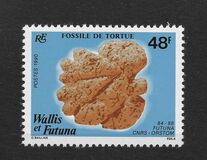 [Archaeological Excavation on Futuna, Typ PK]