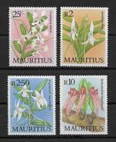 [Orchids, loại QM]