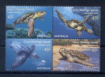 [Turtles, tip OR]