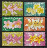 [Frangipani Flowers, type AMQ]