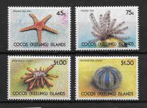[Starfish and Sea Urchins, type IK]