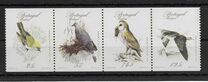 [Rare Birds, tegund BV]