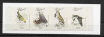 [Rare Birds, tegund BV]