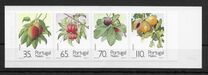 [Fruits and Plants of Subtropic region, type DD]
