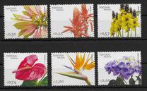 [Madeira Flowers, Tip HU]