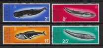 [Conservation of Whales, type AX]