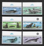 [The 10th Anniversary of the Contract for the Protection of Antarctic Seals, type CH]