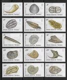 [Fossils, type ET]