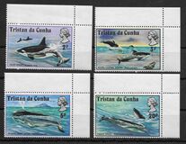 [Whales and Dolphins, Вид FF]