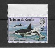 [Whales and Dolphins, Вид FF]