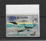 [Whales and Dolphins, Вид FG]