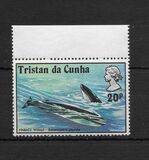 [Whales and Dolphins, Вид FI]