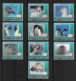 [Animals of Antarctica, type U]