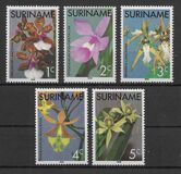 [Surinam Orchids, Tipi AGC]