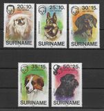 [Child Welfare - Pet Dogs, Tipi AHD]