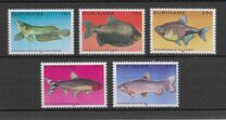 [Tropical Fish, Tüüp ANN]