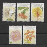 [Flower Drawings by Maria Sibylle Merian, type AOG]