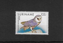 [Fauna - Western Barn Owl, type BHE]
