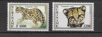 [Fauna - Cats, type BKH]