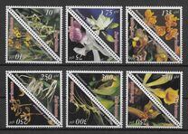 [Flowers - Orchids, տեսակ BLC]