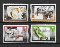 [Domestic Animals, type JE]