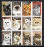 [Cat Breeds, Вид ATM]