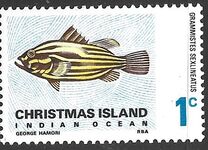[Fish, type M]
