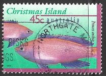 [Fish, type ON]