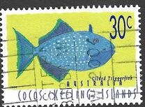[Fish, ประเภท ML]