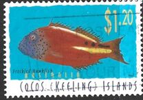 [Fish, type MW]