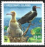 [WWF - Christmas Island Frigatebird, type YO]