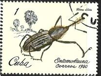[Insects, प्रकार CZI]