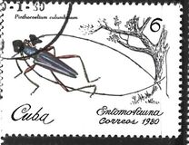 [Insects, प्रकार CZL]