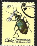 [Insects, प्रकार CZM]