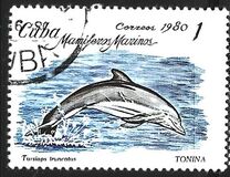 [Marine Mammals, тип DAY]