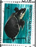 [Fauna Conservation - Reptiles, 類型 GU]
