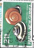 [Land Shells, tip WF]
