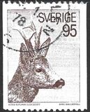 [European Roe Deer, tyyppi MK]