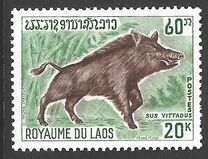 [Wild Animals, typ KF]