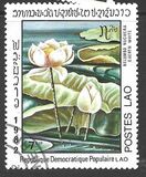 [Water Lilies, típus TU]