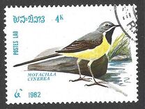[Birds, type TZ]