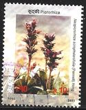 [Flowering Plants, प्रकार XT]