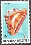 [Sea Shells and Cowries, jenis TK]