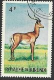 [Burundi Animals, 类型 BI1]