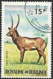 [Burundi Animals, 类型 BN1]