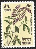 [Nepalese Spices, प्रकार JF]